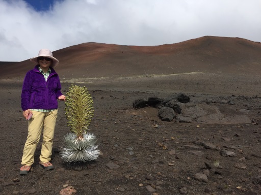 Haleakala Natl. Park