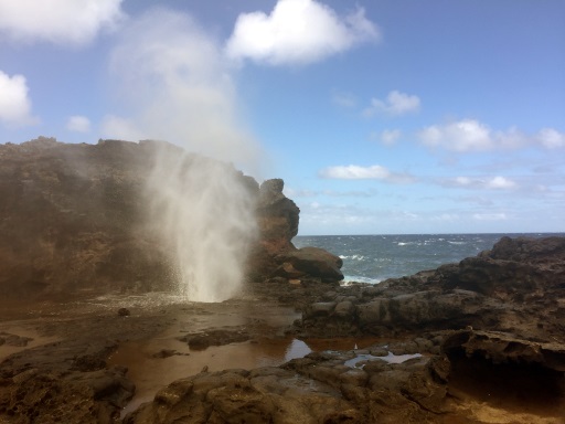 Blowhole